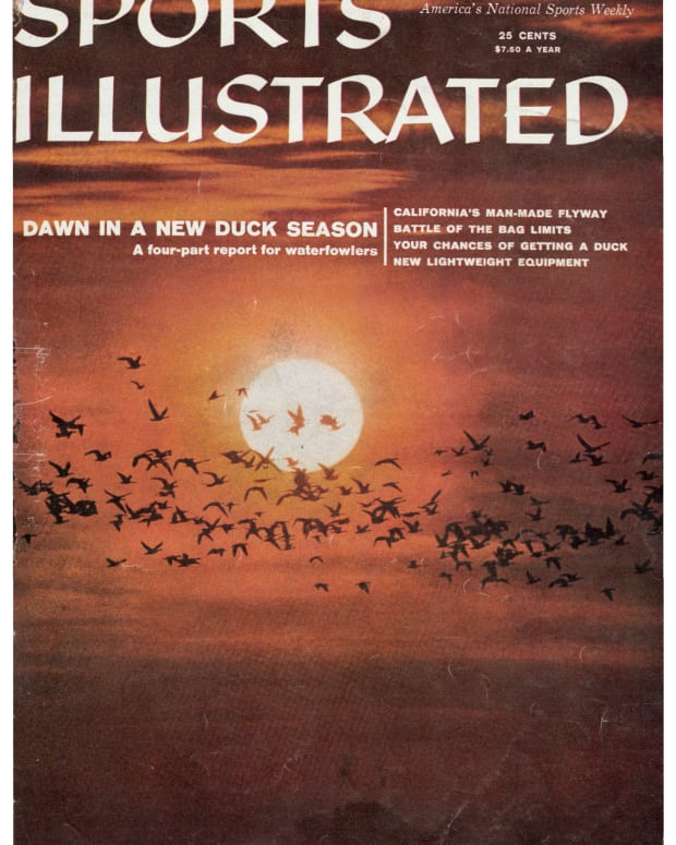 42496 - Cover Image